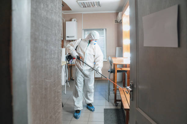 Best Mold Odor Removal Services  in Whetstone, AZ