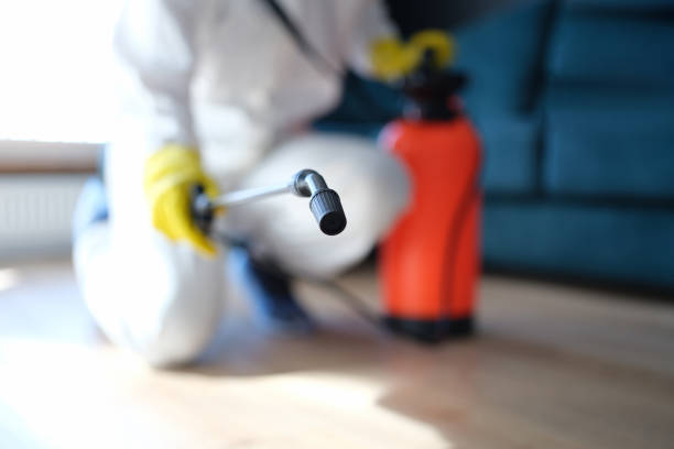 Best Commercial Mold Inspection  in Whetstone, AZ
