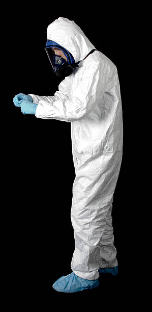 Best Mold Remediation for Healthcare Facilities  in Whetstone, AZ