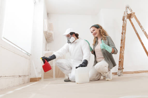 Best Asbestos and Lead Testing During Mold Inspection  in Whetstone, AZ