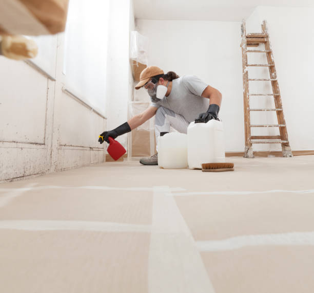 Best Indoor Air Quality Assessment  in Whetstone, AZ